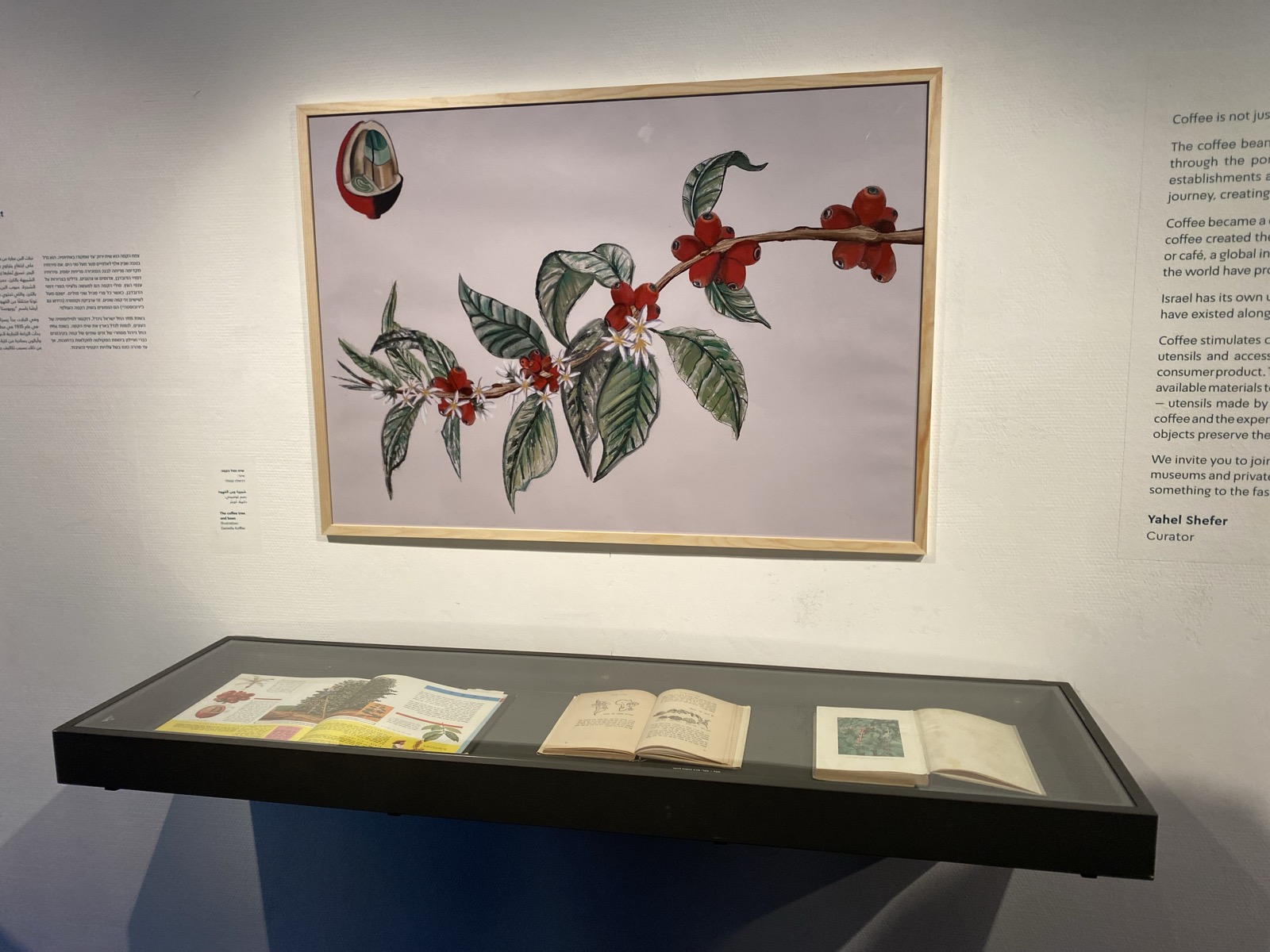 Photograph of the framed coffee branch illustration hung on the gallery wall above a vitrine of period books